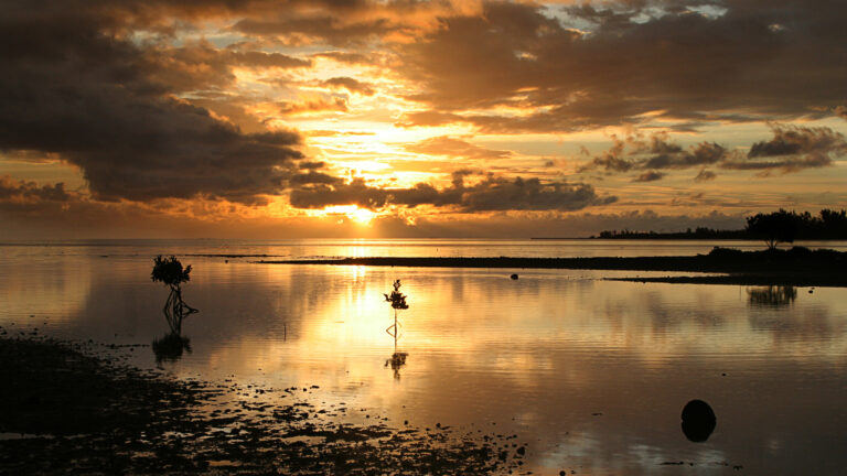 Michèle Mosses-Dubois - Sunset-in-Riviere-Noire-Mauritius